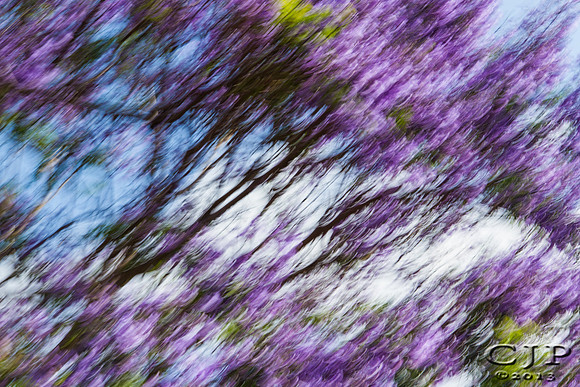 _MG_8820