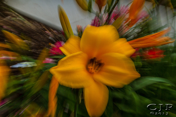 _MG_8812